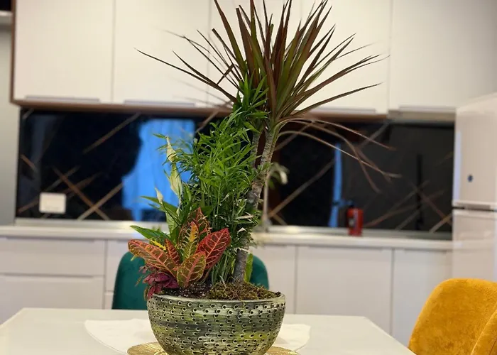 Andor Luxury & Duplex 4*